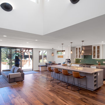 Encinitas Remodel - Light Monitor