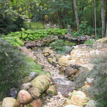 Dry Streambeds