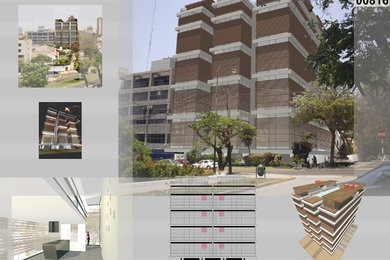 Apartment house _ competition _ Lima _ Peru
