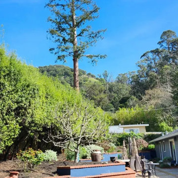 Greenview Tree Care