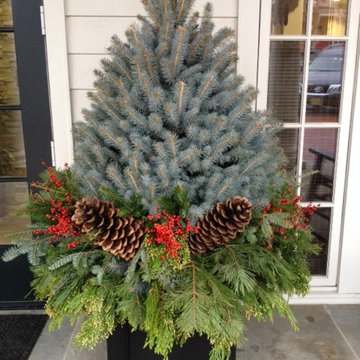 Holiday Decorations