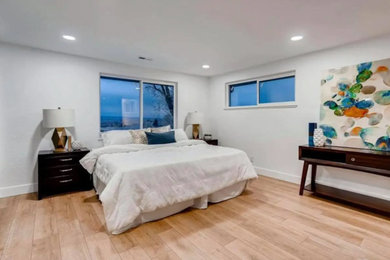 Example of a transitional home design design in Denver