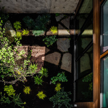 DK Design & Build LLC / Atrium Home