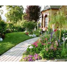 Landscape Design