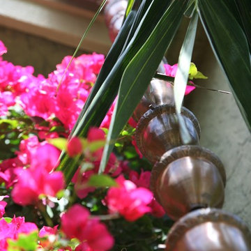 Tropical Niche, Loxahatchee Club