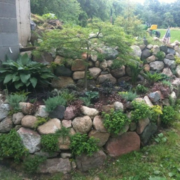 The experiment grounds, aka my side of the house...