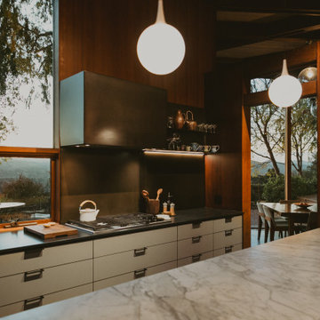 Healdsburg Hills Midcentury Modern
