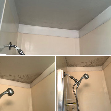 Deep home cleaning eco friendly and environmental safe
