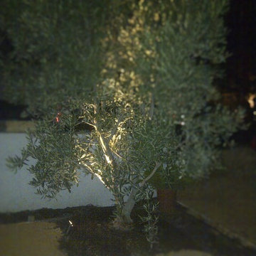 Outdoor Lighting