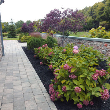 Landscape transformation: Hayfield to elegant home in Bristol