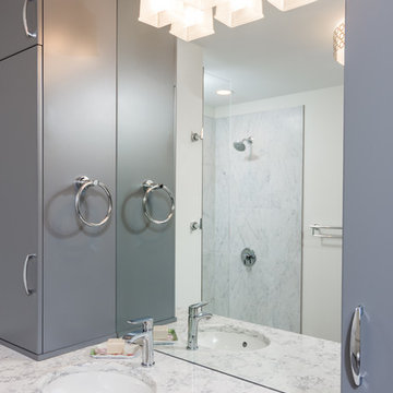 Gale Contemporary Bath in Ann Arbor, Michigan