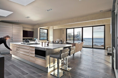 Kitchen - contemporary kitchen idea in Minneapolis