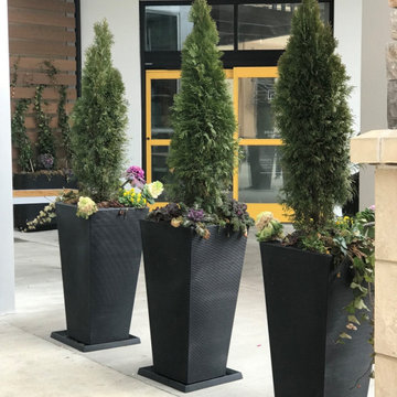 Large Planters for Trees and Tall Plants
