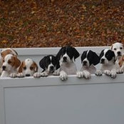 Peter Benson's photo