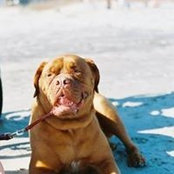 Landon Hammett's photo