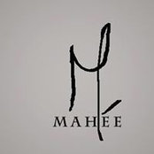 Maheen Ali's photo