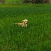 Lilou Guide's photo