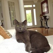 Frances Weller's photo