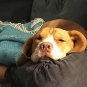 Mark Harland's photo