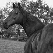 Kimberly King's photo