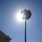 Liz McEvoy's photo