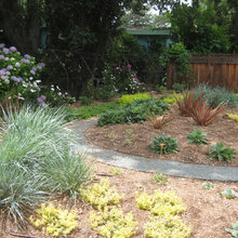 Dream Garden