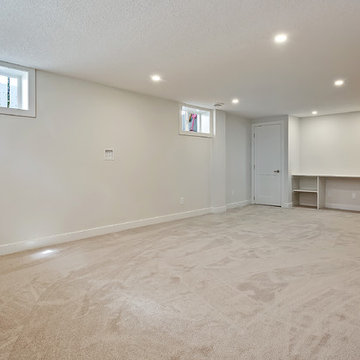 Glenwood Basement Renovation