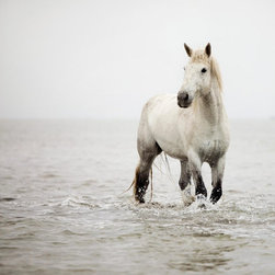 Landscapes/Nature - Photographs