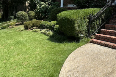 Design ideas for a landscaping in Birmingham.