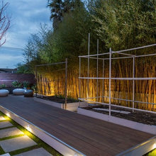 back yard