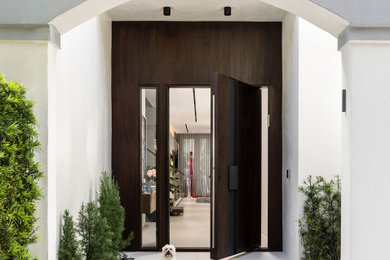 Inspiration for a modern entryway remodel in Miami