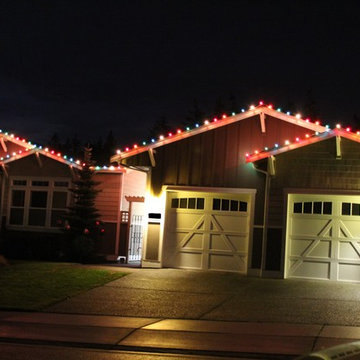 Professional Christmas Light Installation