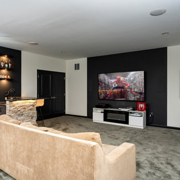 Media Room (Man Cave)