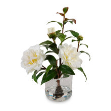 decorative flowers/plants
