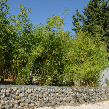Jardin & Piscine à Bandol