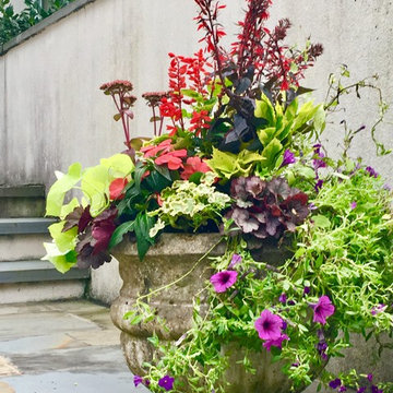Outdoor Entrance Planters