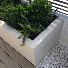 Courette