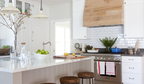 Which Range Hood Works Best for You?