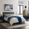 Modway Amira Twin Modern Style Performance Velvet Bed in Gray