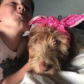 Amy Goodman's photo