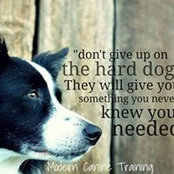 Robin Clark's photo