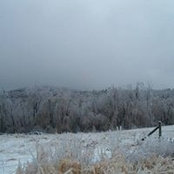 Suzanne Bouchard Sanders's photo