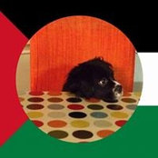 Lucy Loos foto