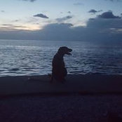 Andi Nito's photo