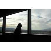 Brenda Geno's photo