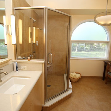 Modern Contemporary Bathroom Remodel in Bloomingdale, IL
