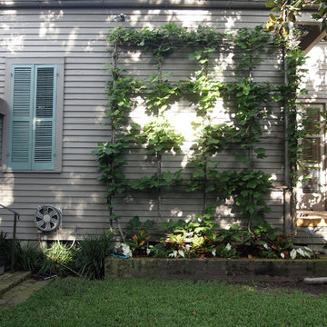 My Houzz: Peek Inside an Artist’s Updated Shotgun Home and Studio