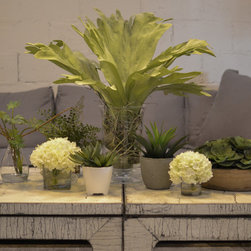 Decor & Accessories - Decorative Accents