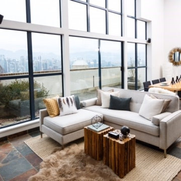 Living Room - Transitional