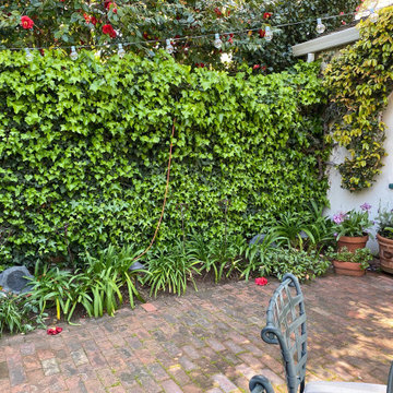 Palo Alto | No Space Too Small to Transform